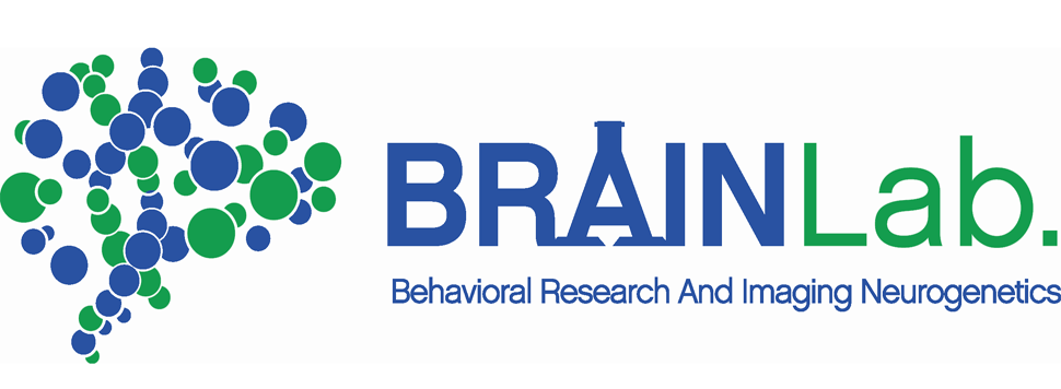 brainLAB_LOGO_long – BRAINLab